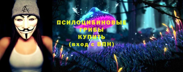 стаф Беломорск