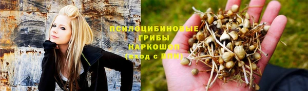 МДМА Белокуриха