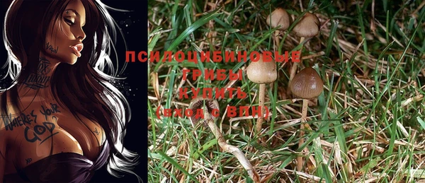 стаф Беломорск
